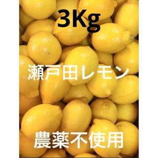国産瀬戸田レモン3Kg(フルーツ)