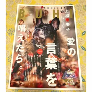 BUHI (ブヒ) 2022年 11月号 [雑誌](その他)