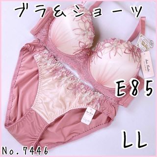 ブラジャーショーツセットE85   No.7446(ブラ&ショーツセット)