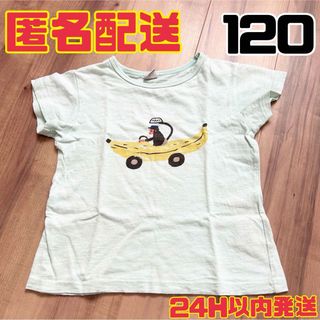 DILASH - 120 半袖 半袖Tシャツ DILASH ディラッシュ 男の子 女の子 男女兼用