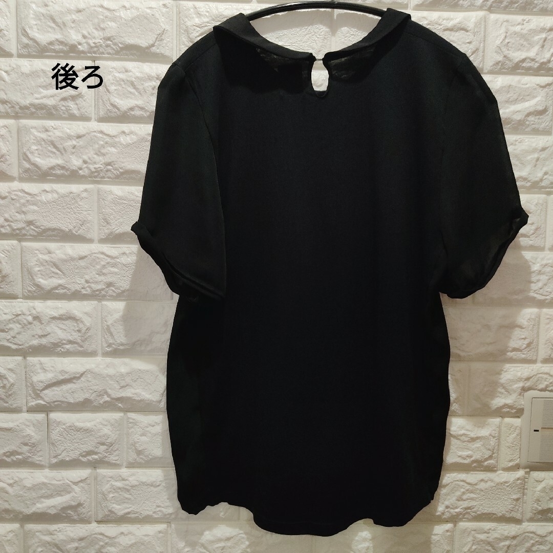 ZARA(ザラ)のZARA  COLLECTION  ザラ  丸襟  異素材 Tシャツ カットソー レディースのトップス(Tシャツ(半袖/袖なし))の商品写真