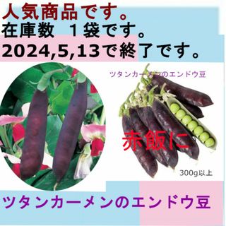 人気商品 紫えんどう ツタンカーメン～300g以上 不思議な豆ご飯　無農薬(野菜)