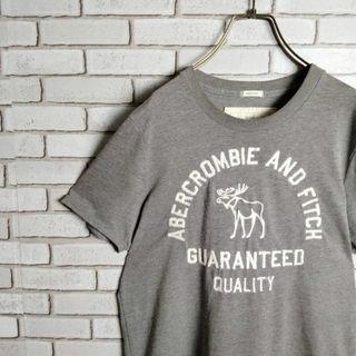 アバクロンビーアンドフィッチ(Abercrombie&Fitch)のアバクロンビーアンドフィッチ　MUSCLE　Tシャツ　ビッグロゴ　刺繍　グレー(Tシャツ/カットソー(半袖/袖なし))