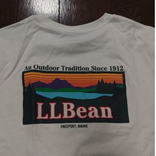 エルエルビーン(L.L.Bean)のL.L.Bean　patagonia　Tシャツ　L　白(Tシャツ/カットソー(半袖/袖なし))