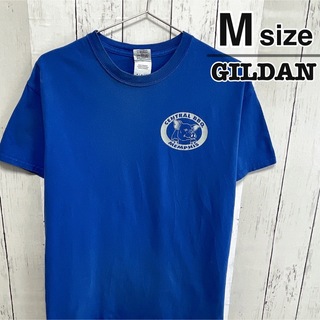 ギルタン(GILDAN)のUSA古着　GILDAN　Tシャツ　M　ブルー　プリント　ピッグ　ブタ　アニマル(Tシャツ/カットソー(半袖/袖なし))