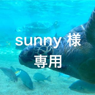 sunny 様専用(その他)