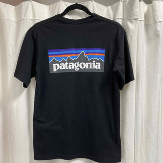 パタゴニア(patagonia)のパタゴニアP-6ロゴレスポンシビリティ　ポケットTシャツ(Tシャツ/カットソー(半袖/袖なし))