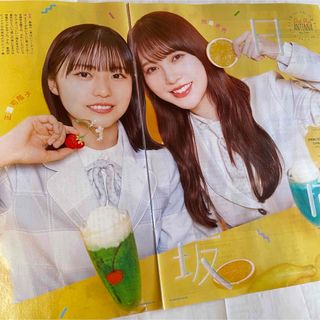 日向坂46 - 加藤史帆　正源司陽子TV station切り抜き5/1発売10号