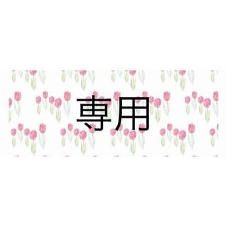 さっこ　様　専用(その他)