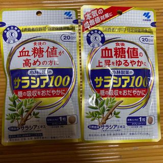 コバヤシセイヤク(小林製薬)の小林製薬 サラシア100 20日分 2袋セット 賞味期限 26年4月(その他)