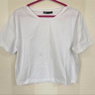 ザラ(ZARA)のZARA ザラ 短いTシャツ クロップド丈 ショート丈 チビT ホワイト(Tシャツ(半袖/袖なし))
