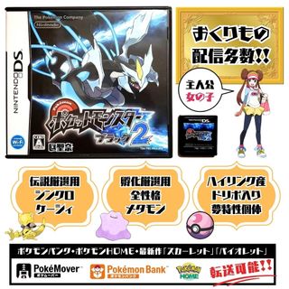 ニンテンドーDS - ポケットモンスター ブラック2