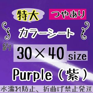 特大　紫色　カッティングシート　うちわ文字　規定外(アイドルグッズ)