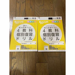 ベネッセ(Benesse)のチャレンジ5年生　実力診断テスト　4教科個別復習ドリル　2冊(絵本/児童書)