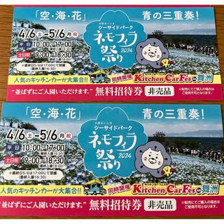 ネモフィラ祭り2024年(遊園地/テーマパーク)