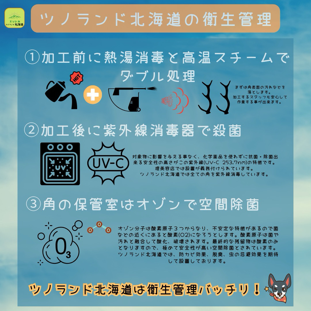 ◯鹿の角◯Mサイズ四つ割×1本◯犬のおもちゃ◯中型犬用◯ その他のペット用品(犬)の商品写真