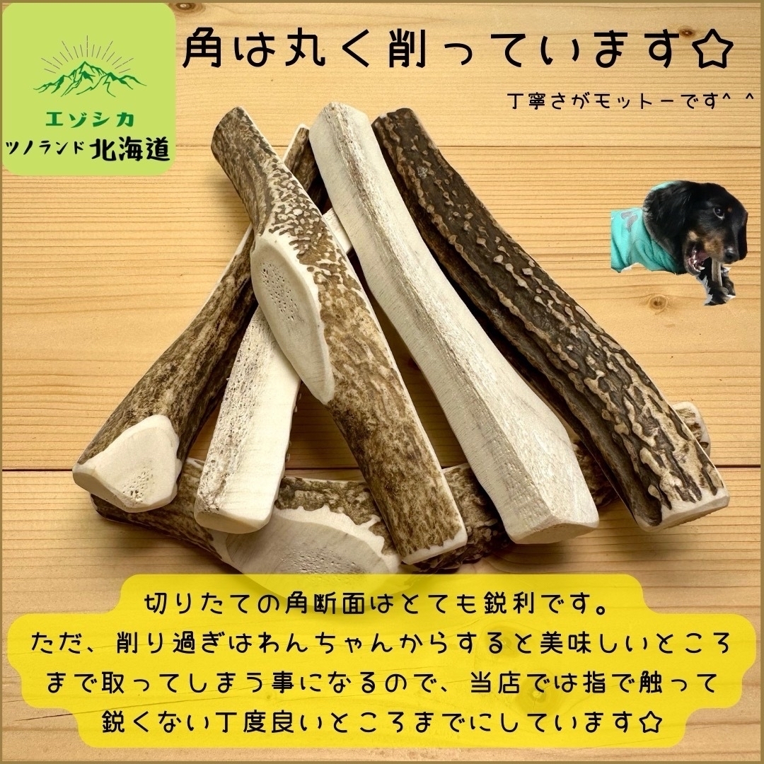 ◯鹿の角◯Mサイズ四つ割×2本セット◯犬のおもちゃ◯中型犬用◯ その他のペット用品(犬)の商品写真