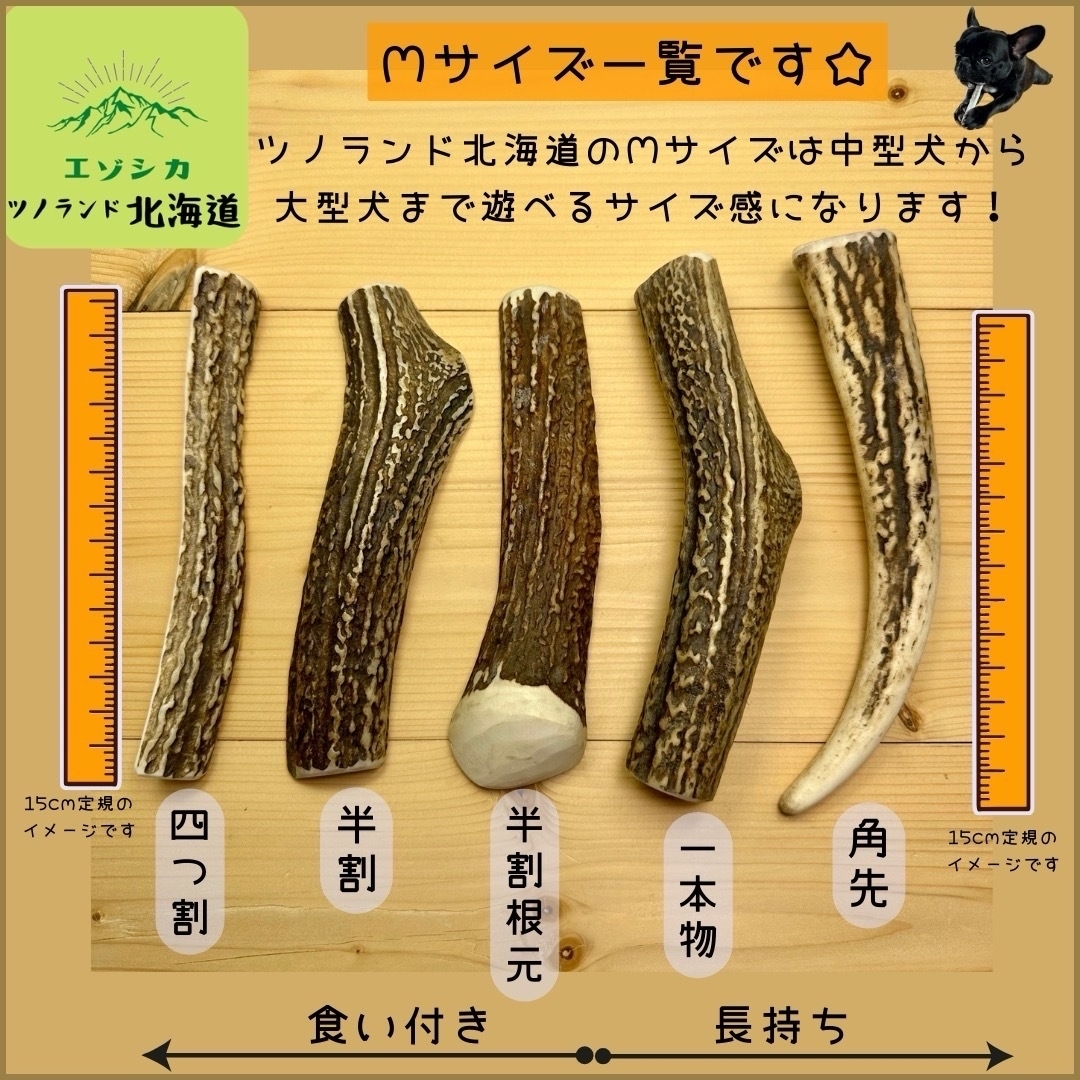 ◯鹿の角◯Mサイズ四つ割×2本セット◯犬のおもちゃ◯中型犬用◯ その他のペット用品(犬)の商品写真