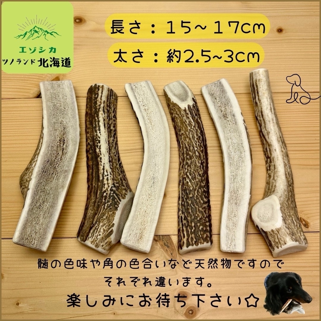 ◯鹿の角◯Mサイズ半割×1本◯犬のおもちゃ◯中型犬用◯ その他のペット用品(犬)の商品写真