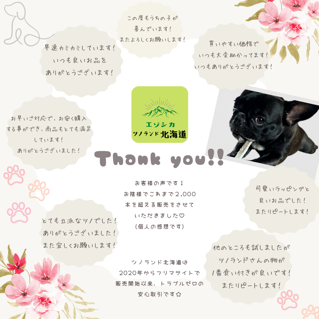 ◯鹿の角◯Mサイズ半割×1本◯犬のおもちゃ◯中型犬用◯ その他のペット用品(犬)の商品写真