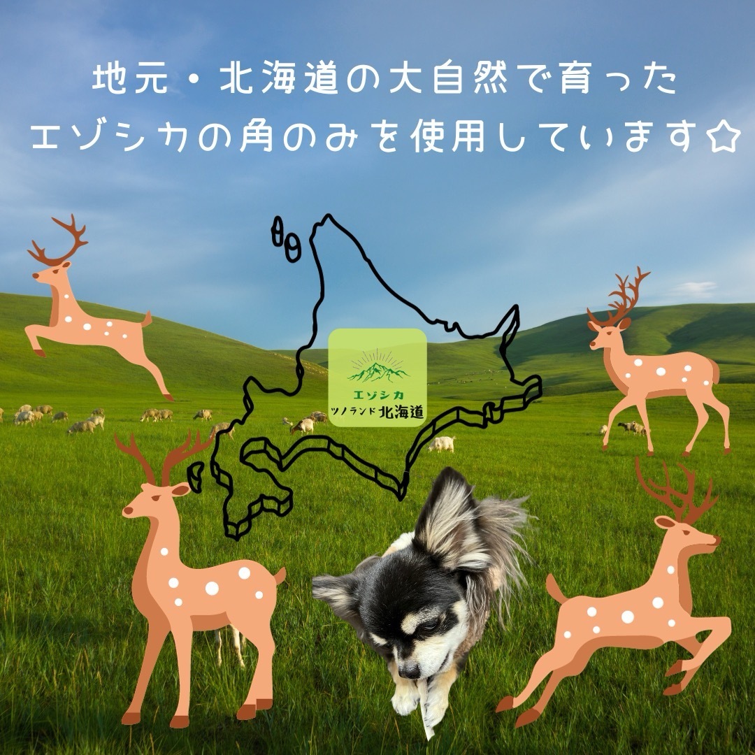 ◯鹿の角◯Mサイズ半割×1本◯犬のおもちゃ◯中型犬用◯ その他のペット用品(犬)の商品写真