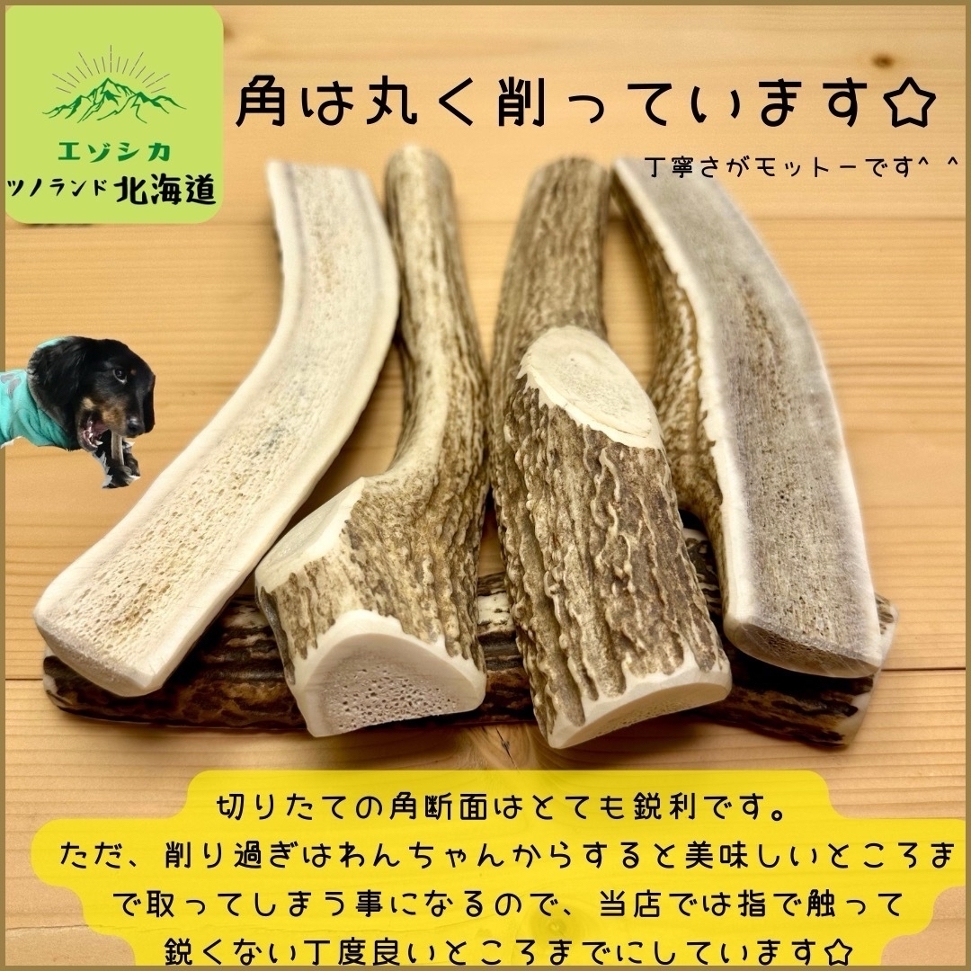 ◯鹿の角◯Mサイズ半割×2本セット◯犬のおもちゃ◯中型犬用◯ その他のペット用品(犬)の商品写真