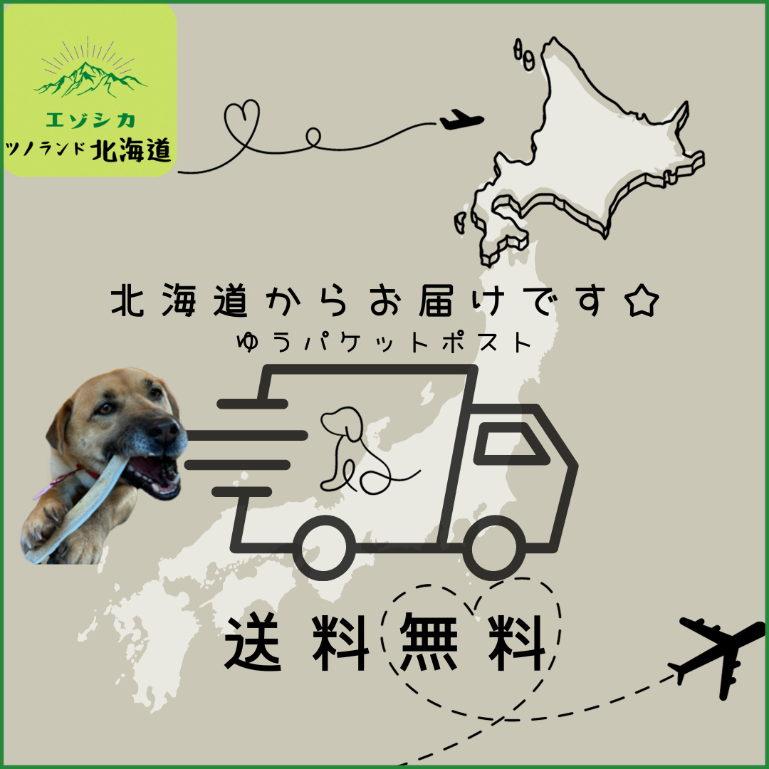 ◯鹿の角◯Mサイズ半割×2本セット◯犬のおもちゃ◯中型犬用◯ その他のペット用品(犬)の商品写真