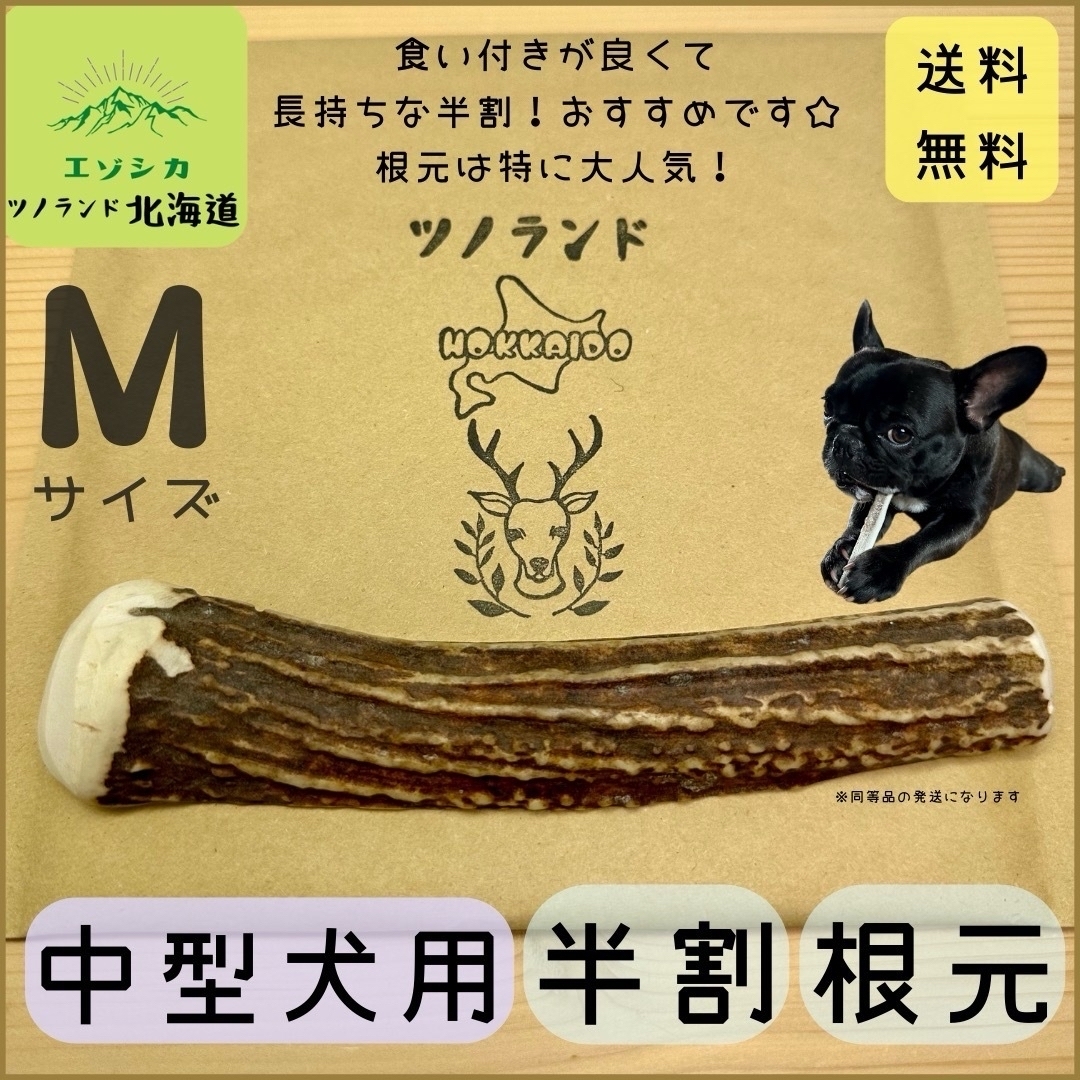 ◯鹿の角◯Mサイズ半割根本×1本◯犬のおもちゃ◯中型犬用◯ その他のペット用品(犬)の商品写真