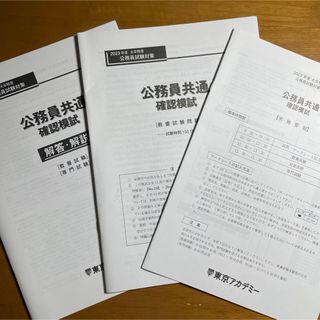 公務員共通確認模試 教養試験問題 大卒