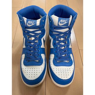 ナイキ(NIKE)のNike Terminator High  UNC ナイキ　ターミネーター　ハイ(スニーカー)