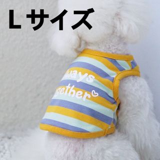 犬服　犬　服　ドッグウェア　Tシャツ　タンクトップ　ボーダー　イエロー　Ｌサイズ(犬)