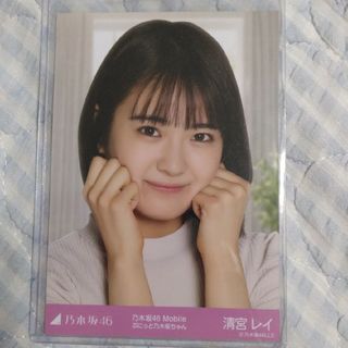 ノギザカフォーティーシックス(乃木坂46)の乃木坂46 mobile ぷにっと乃木坂ちゃん 清宮レイ　生写真 チャンスメール(アイドルグッズ)