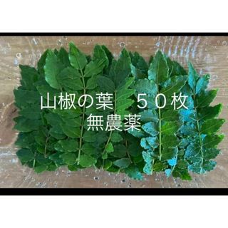 山椒の葉 50枚 サンショウ　(野菜)