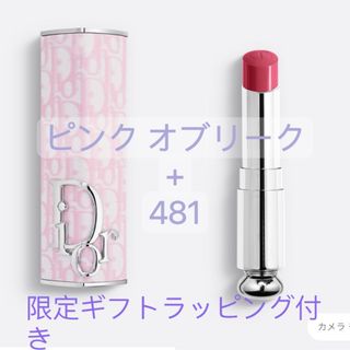 Christian Dior - 新品未使用　ディオール アディクト リップスティック ピンクオブリーク　481