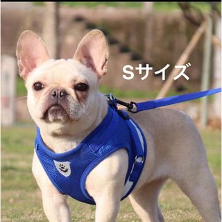 新品 犬 猫 ハーネス リード 2点セット 胴輪 散歩 反射テープ ブルー S