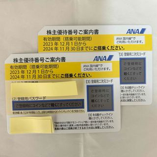 ANA株主優待券 ２枚セット(その他)