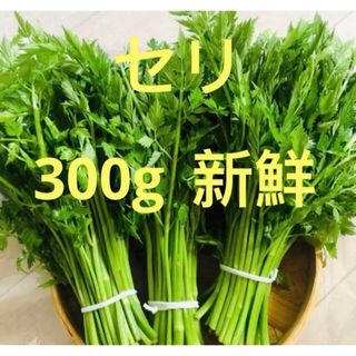 山の奥　清流 天然セリ★山菜★採れたて★新鲜！300g (野菜)