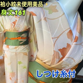 袷小紋美品！ぼかしの大きなアラベスク模様　身丈161(着物)