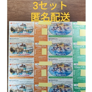 【3セット！】東京サマーランド　チケット(プール)