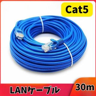 LANケーブル 30M RJ-45 8芯 Cat 5 最大100Mbps ゲーム(PC周辺機器)