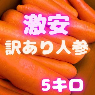 数量限定　にんじん　人参　野菜　5kg  01(野菜)