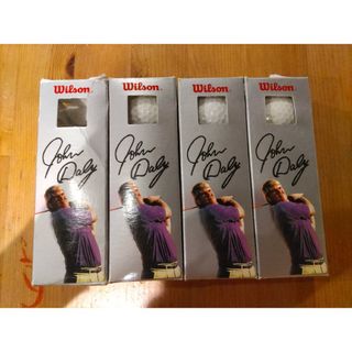 ウィルソン(wilson)の【希少】Wilson John Daly ゴルフボール 11個(その他)