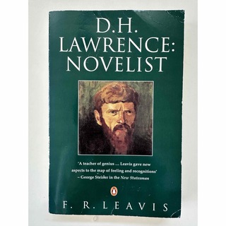 【古書】D.H.LAWRENCE:NOVELIST(洋書)