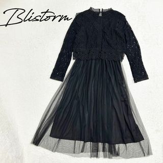 【新品タグ付き】Blistorm  ワンピース　ドレス　チュール　刺繍　Lサイズ(ロングドレス)