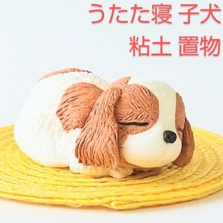 犬 置物 子犬 うたた寝 日向ぼっこ ペット キャバリア コッカー コーイケル(インテリア雑貨)