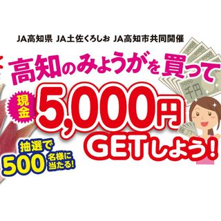 ★★懸賞応募 高知みょうがキャンペーン【2口】★★(その他)