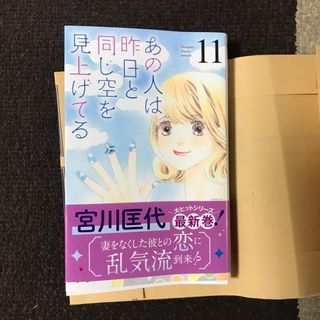 あの人は昨日と同じ空を見上げてる(女性漫画)