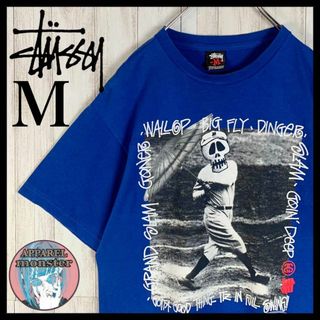 ステューシー(STUSSY)の【超希少モデル】オールドステューシー ベーブルース 即完売モデル 奇抜 Tシャツ(Tシャツ/カットソー(半袖/袖なし))