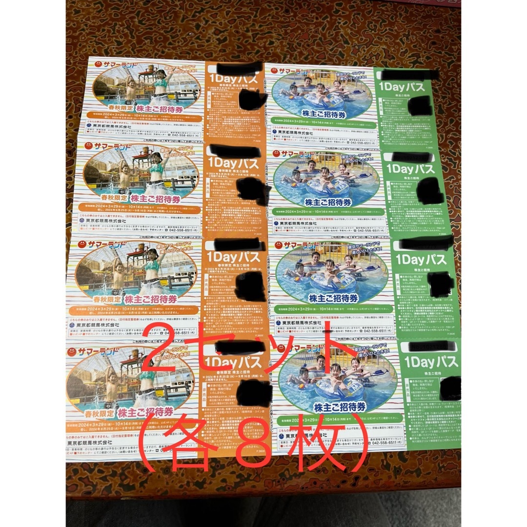 東京サマーランド　株主優待　2セット チケットの施設利用券(遊園地/テーマパーク)の商品写真