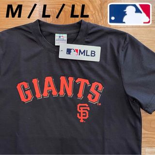 メジャーリーグベースボール(MLB)の希少【M】MLB公式 ジャイアンツ　半袖Tシャツ●メンズ　大谷翔平　ドジャース(Tシャツ/カットソー(半袖/袖なし))